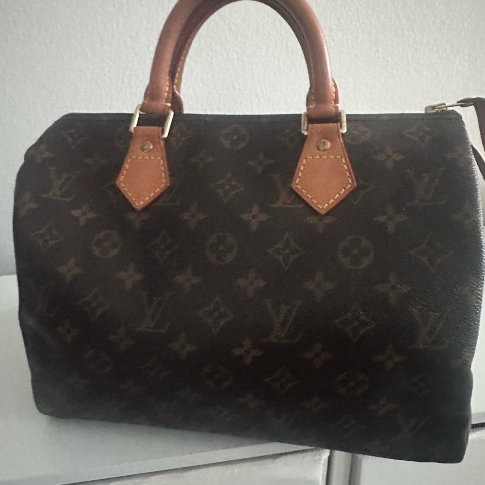Louis Vuitton Speedy 30 pre-owned